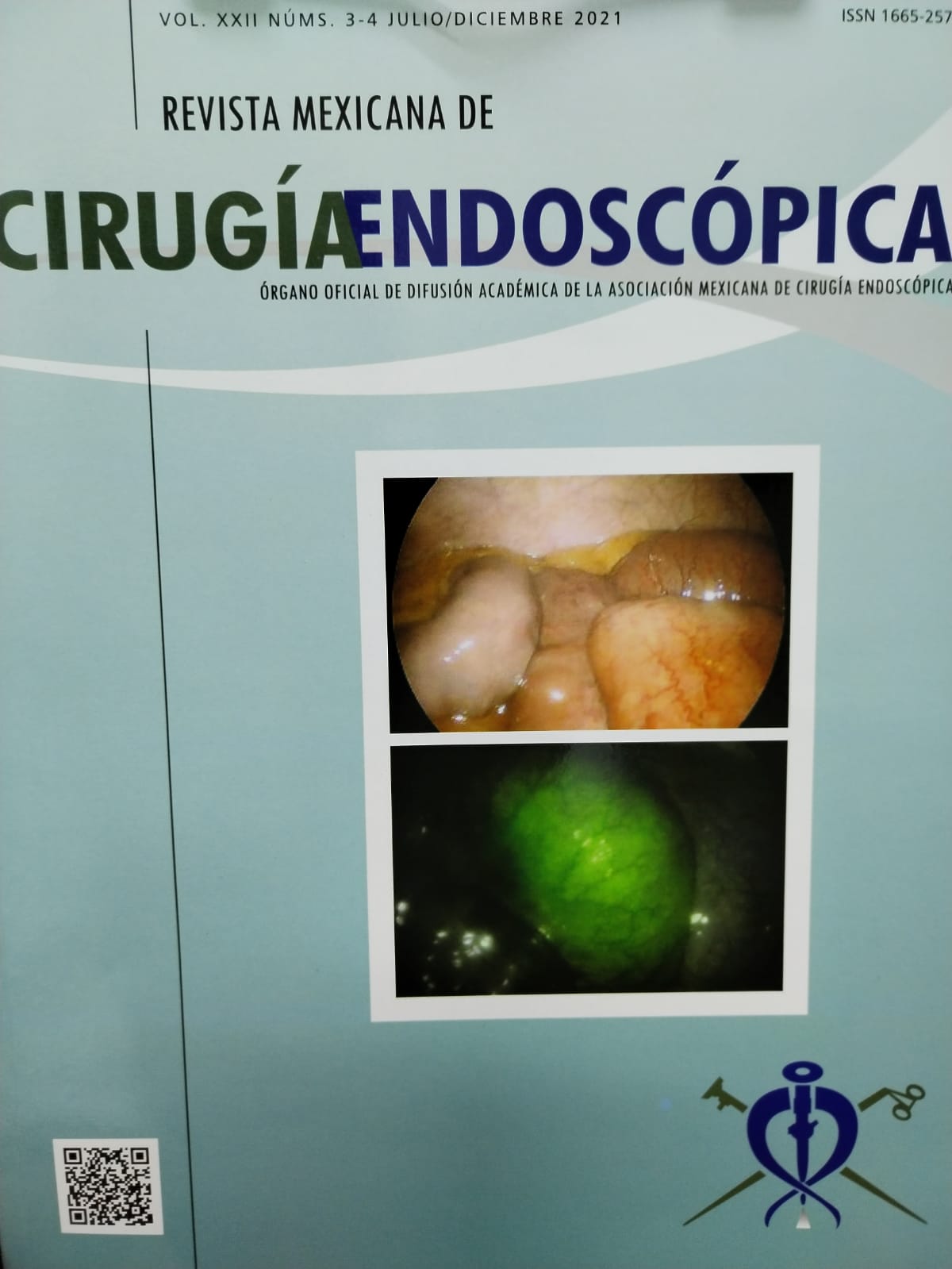 Dr. Rafael Acuña Prats | Cirugía endoscópica